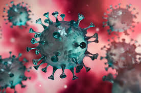 La HAS rend un avis sur l’utilisation des tests virologiques